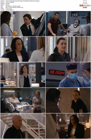 Chicago Med S11 1080p WEBRip 10Bit DDP5.1 HEVC-d3g