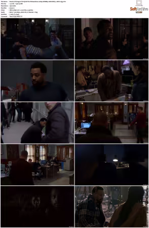 Chicago P D S13 1080p WEBRip 10Bit DDP5.1 HEVC-d3g