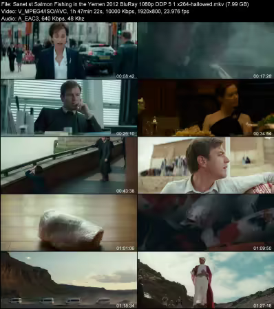 Salmon Fishing in the Yemen 2012 BluRay 1080p DDP 5.1 x264-hallowed