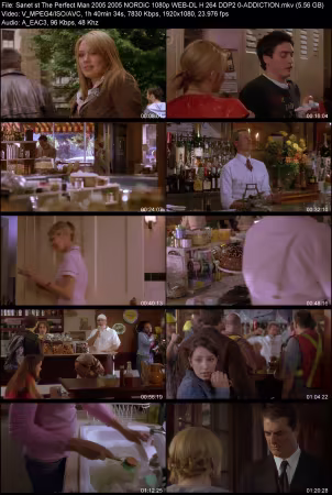 The Perfect Man 2005 NORDiC 1080p WEB-DL H264 DDP2.0-ADDICTION