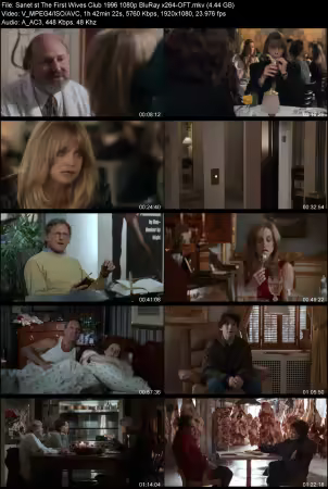 The First Wives Club 1996 1080p BluRay x264-OFT
