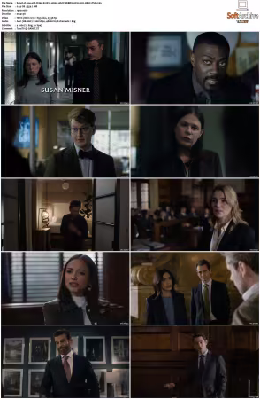 Law and Order S25 1080p 10bit WEBRip 6CH x265 HEVC-PSA