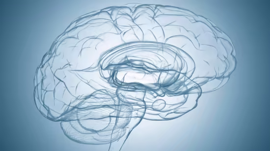 Understanding Dementia: Beyond Memory Loss