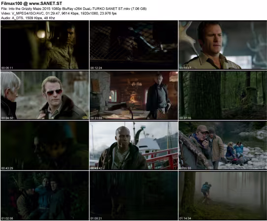 Into the Grizzly Maze 2015 1080p BluRay x264 DuaL-TURKO