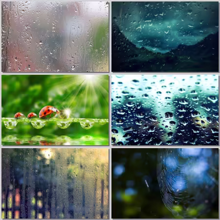 Macro Wallpaper Part 284