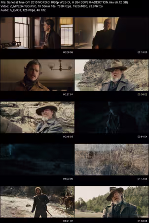 True Grit 2010 NORDiC 1080p WEB-DL H264 DDP 2.0-ADDICTION