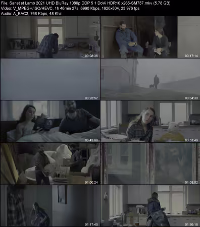 Lamb 2021 UHD BluRay 1080p DDP 5.1 DoVi HDR10 x265-SM737