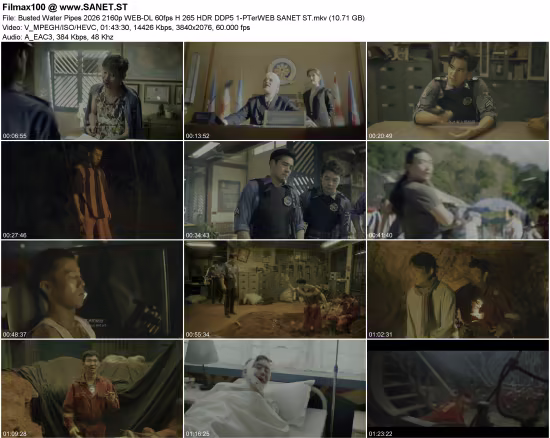 Busted Water Pipes 2026 2160p WEB-DL 60fps H 265 HDR DDP5 1-PTerWEB