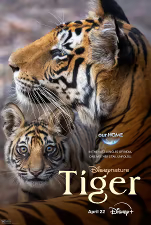 Tigres 2024 DOC VOSTFR HDR DV 2160p WEB H265-FW
