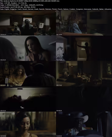 Euphoria US S03E07 1080p DS4K WEBRip DV HDR x265 AAC-NOGRP