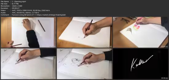 Master Hair Sketching &amp; Character Illustration