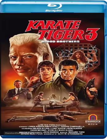 No Retreat No Surrender 3 Blood Brothers 1990 1080p BluRay x264-OFT