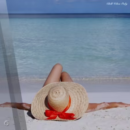 VA - Chill Vibes Only (2026)