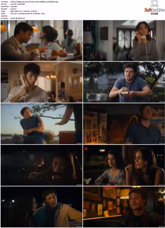 Bridge and Tunnel S01 S02 1080p WEBRip x265-RARBG