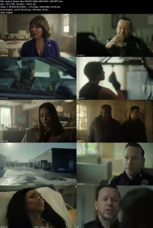 Boston Blue S01E20 1080p WEB HEVC x265-RMT