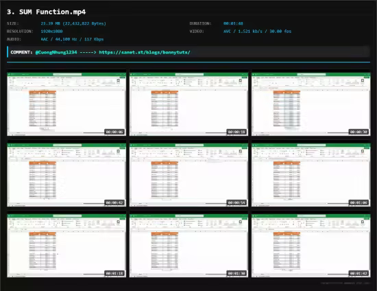 Microsoft Excel: Advanced Excel Formulas and Functions