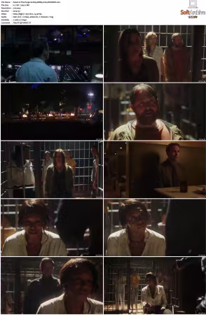 The Purge S01 S02 BDRip X264-MiXED