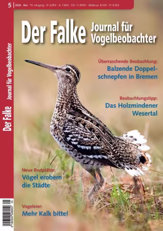 Der Falke - Journal für Vogelbeobachter - Nr.05_2026