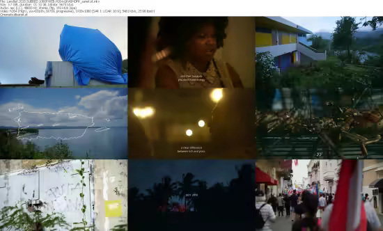 Landfall 2020 SUBBED 1080P WEB H264-GRASHOPR
