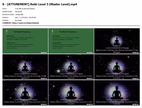 The Satori Protocol: Kundalini Reiki &amp; Bio-Hacking Mastery