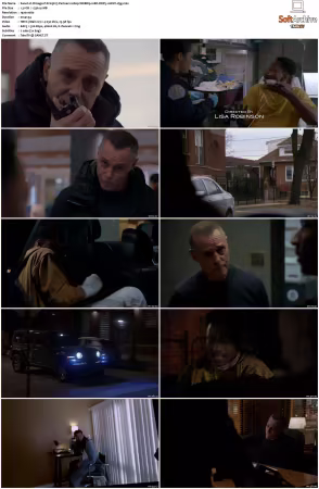 Chicago P D S13 1080p WEBRip 10Bit DDP5.1 HEVC-d3g