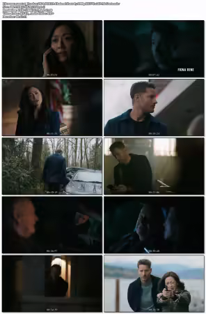 Tracker 2024 S03E19 1080p HEVC X265-MeGusta