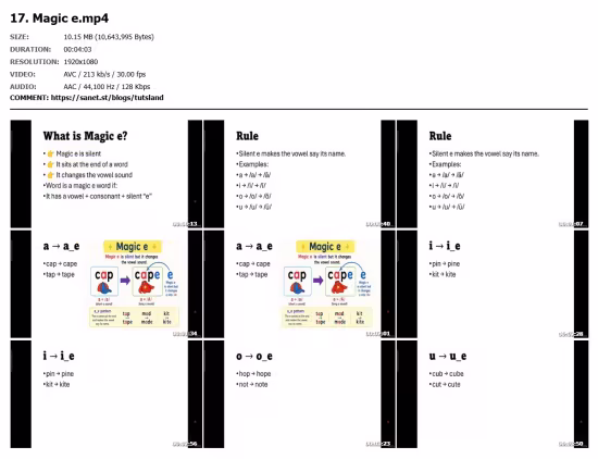 Phonics Level 2 : Advanced Reading &amp; Spelling Skills