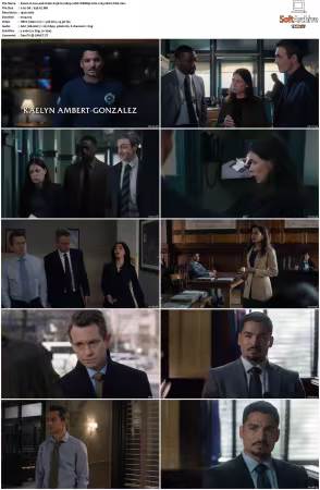 Law and Order S25 1080p 10bit WEBRip 6CH x265 HEVC-PSA