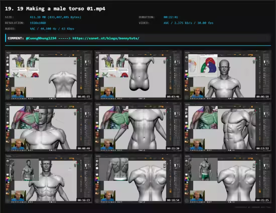 Female anatomy for artists
