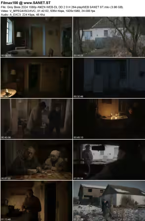 Grey Bees 2024 1080p AMZN WEB-DL DD 2.0 H264-playWEB