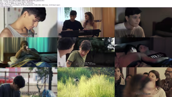 Cousins 2019 1080p SUBBED WEB h264-SECRETOS