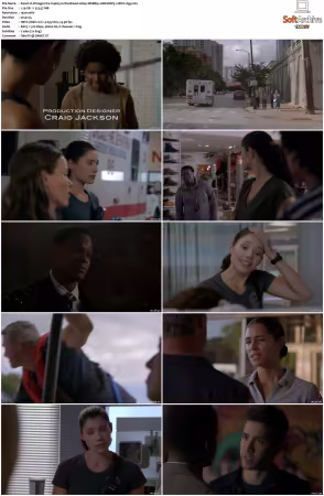 Chicago Fire S14 1080p WEBRip 10Bit DDP5.1 HEVC-d3g