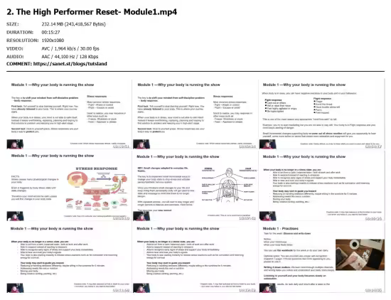 The High Performer Reset; Balance Clarity and Well-Being