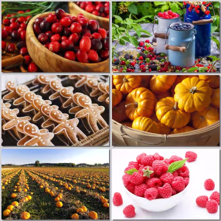 Food Wallpaper Part 388