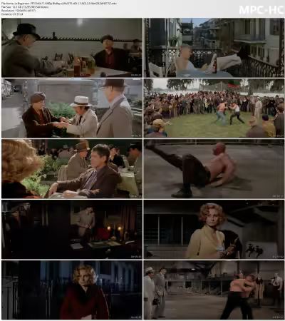 Le Bagarreur 1975 MULTi 1080p BluRay x264 DTS-HD 5.1 AC3 2.0-BzH29