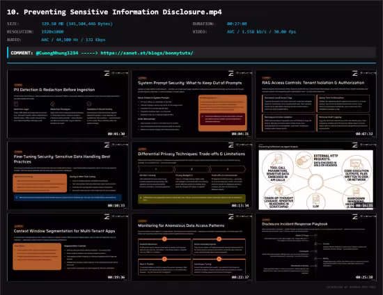 OWASP Top 10 for LLM Aplications: AI Security Explained