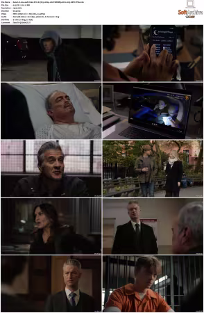 Law and Order SVU S27 1080p 10bit WEBRip 6CH x265 HEVC-PSA