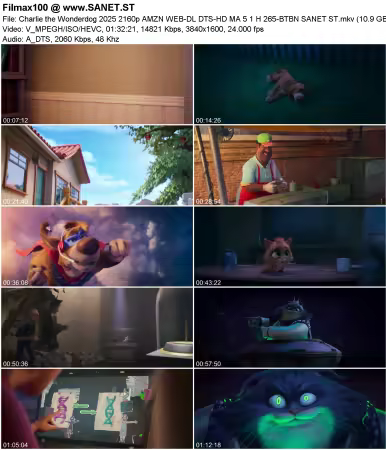 Charlie the Wonderdog 2025 2160p AMZN WEB-DL DTS-HD MA 5.1 H265-BTBN