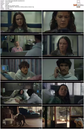 BEEF S02 1080p HEVC x265-MeGusta