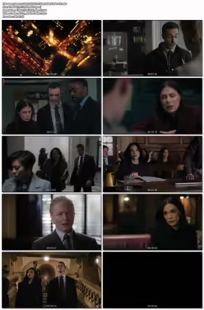 Law And Order S25E19 720p WEB H264-JFF