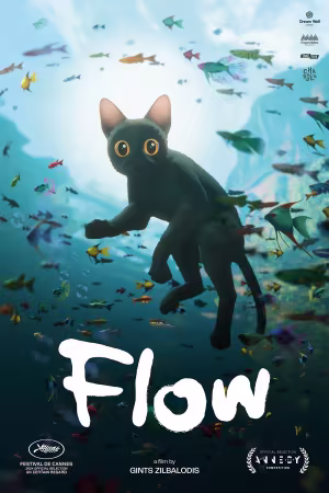 Flow 2024 MUTE 1080p HDLight AC3 5.1 H264-LiHDL