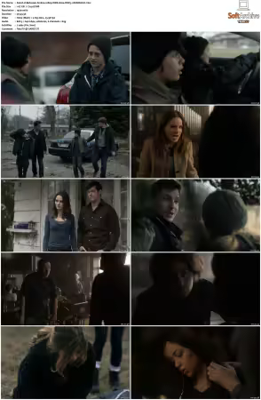 Between S01 S02 1080p WEB H264 DDP5.1-DERMAGiC