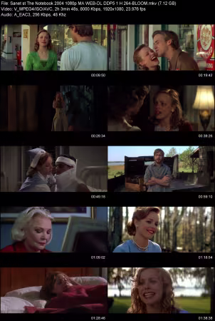 The Notebook 2004 1080p MA WEB-DL DDP 5.1 H264-BLOOM