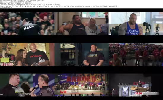 Born Strong 2017 1080p NF WEB-DL DDP2 0 x264-NTb