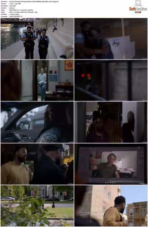Chicago P D S13 1080p WEBRip 10Bit DDP5.1 HEVC-d3g