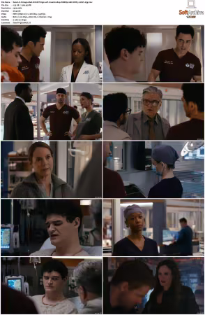 Chicago Med S11 1080p WEBRip 10Bit DDP5.1 HEVC-d3g