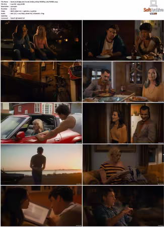 Bridge and Tunnel S01 S02 1080p WEBRip x265-RARBG