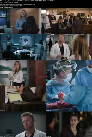 Greys Anatomy S22E17 Through the Fire 1080p DSNP WEB-DL DDP5 1 H 264-NTb