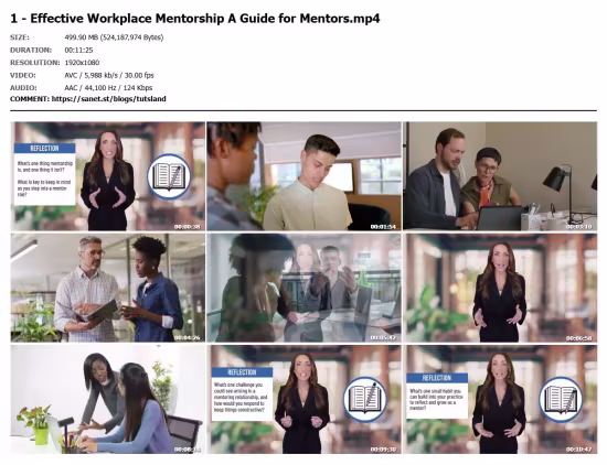 Effective Workplace Mentorship & Culture Building