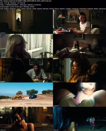 Euphoria US S03E07 1080p AMZN WEB-DL HEVC x265-Forzet